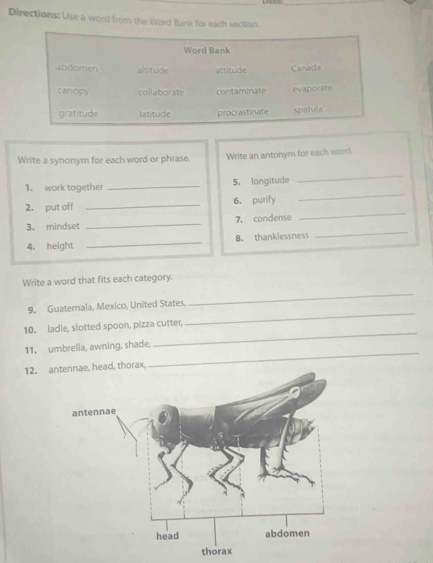 directions: use a word from the word bank for each section. word bank a…