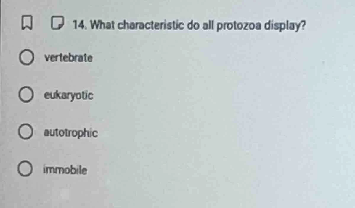 14. what characteristic do all protozoa display? ○ vertebrate ○ eukaryo…
