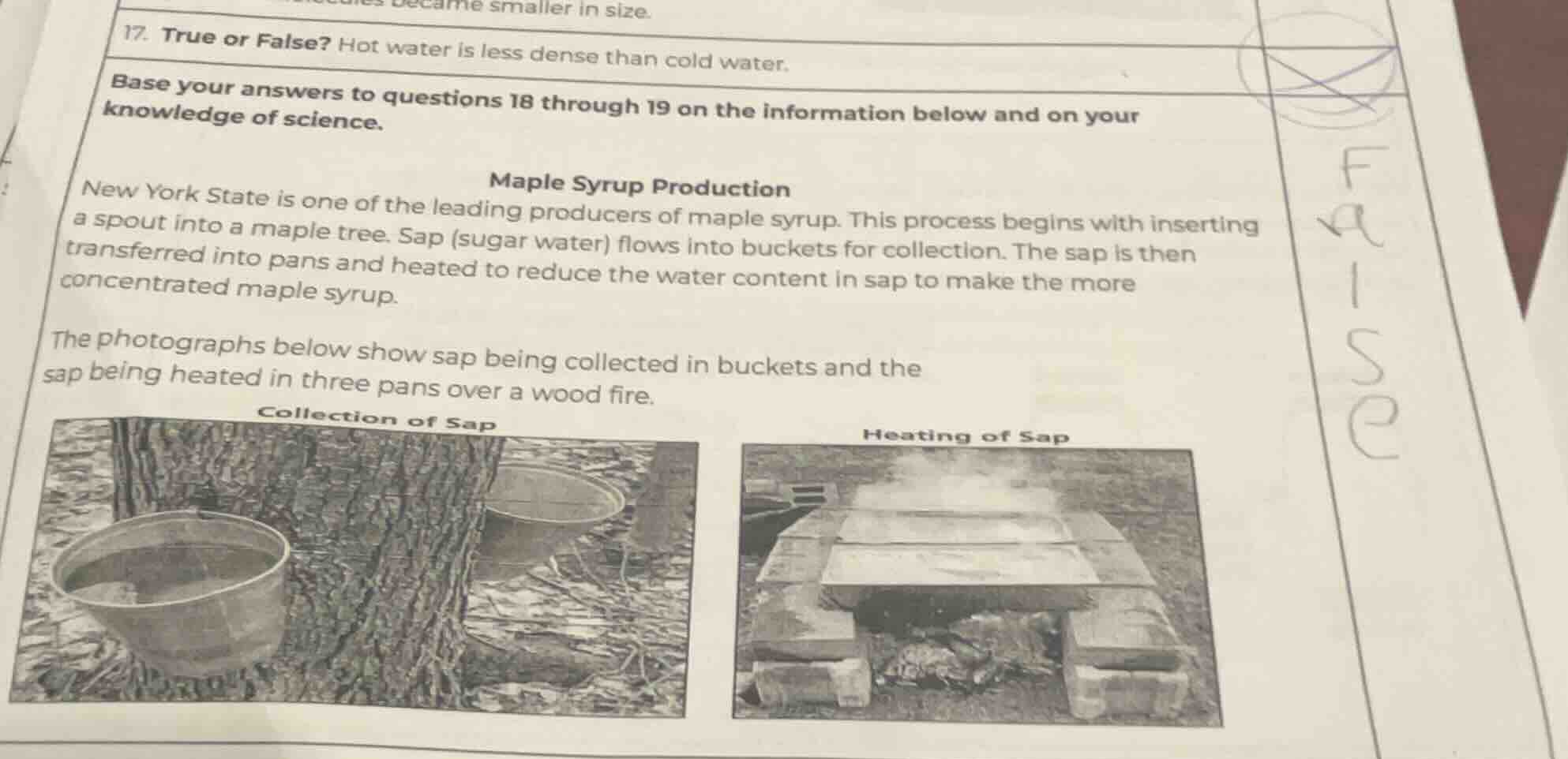 17. true or false? hot water is less dense than cold water. base your a…