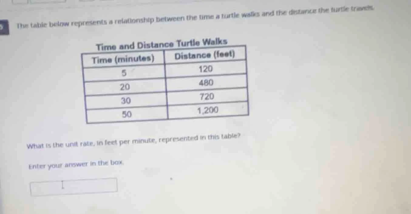 the table below represents a relationship between the time a turtle wal…