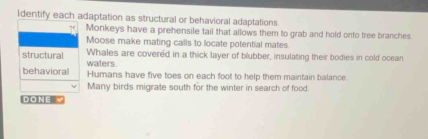 identify each adaptation as structural or behavioral adaptations. monke…