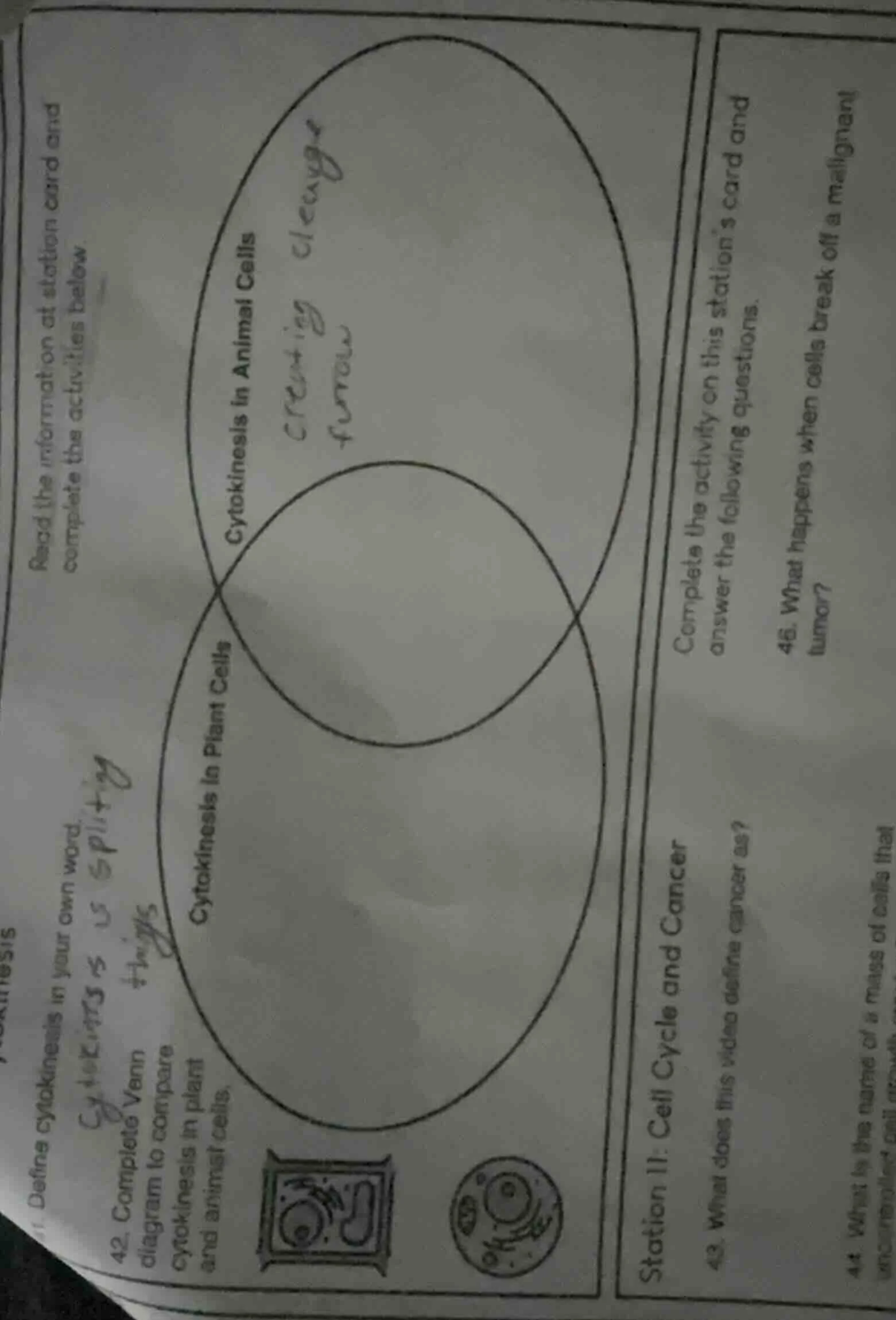 read the information at station card and complete the activities below …