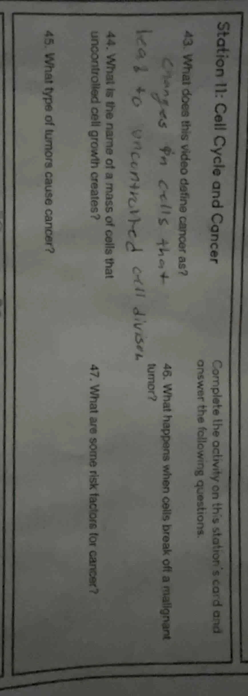 station ii: cell cycle and cancer complete the activity on this station…