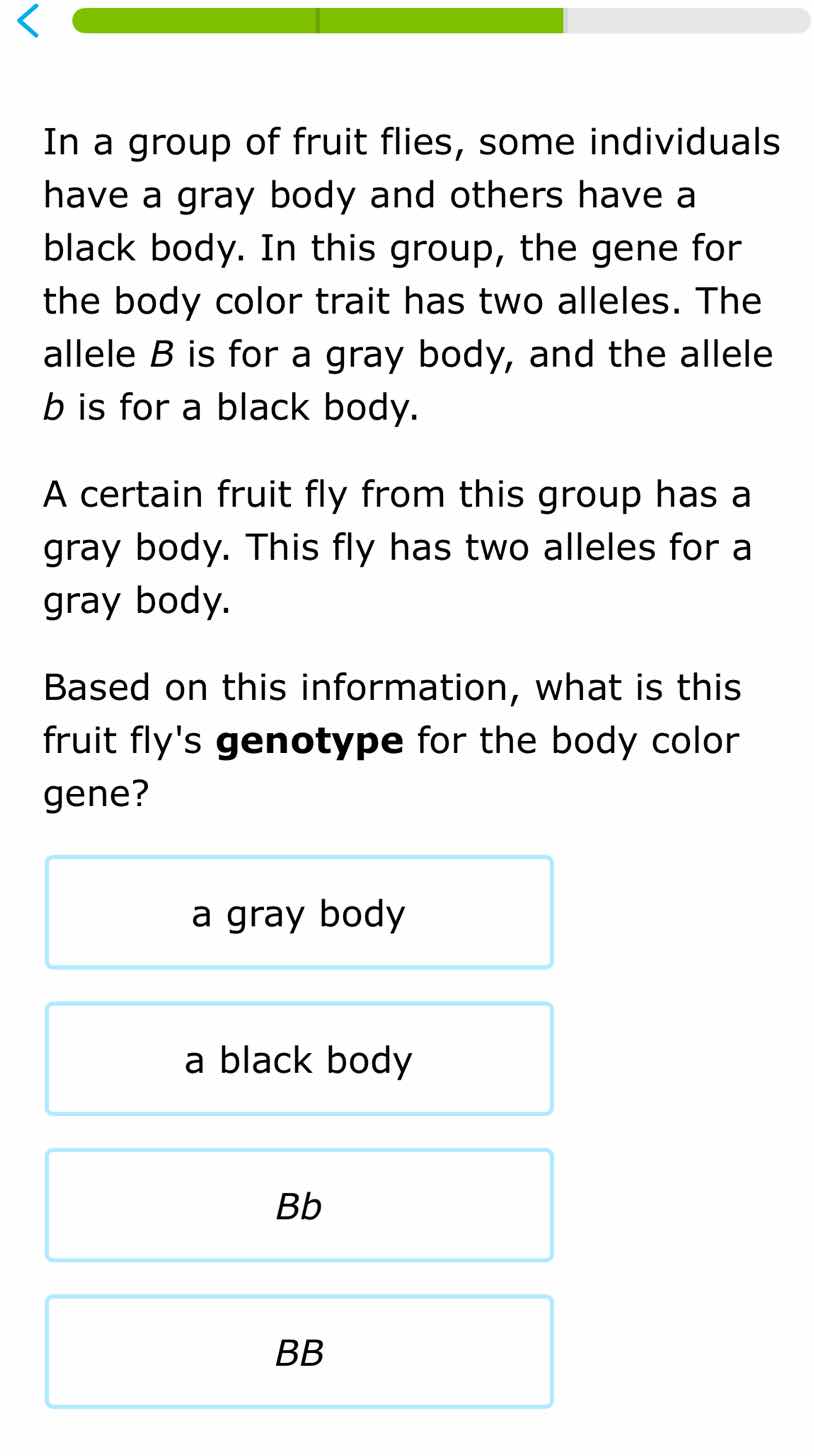 in a group of fruit flies, some individuals have a gray body and others…