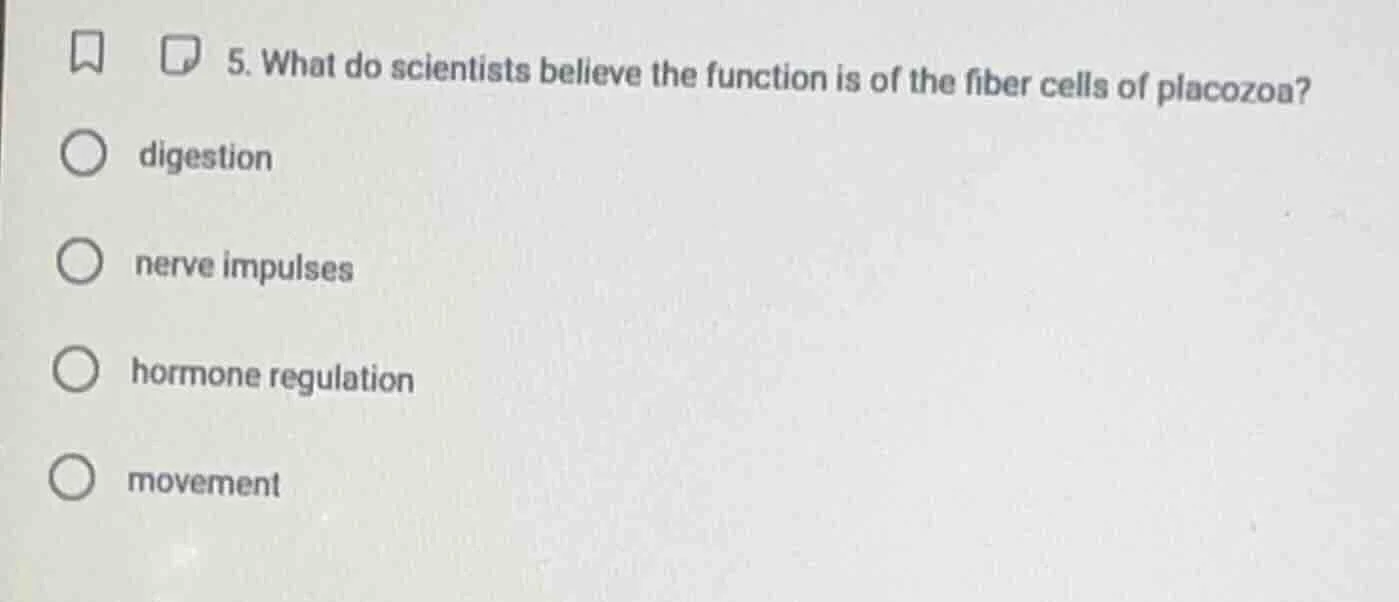5. what do scientists believe the function is of the fiber cells of pla…