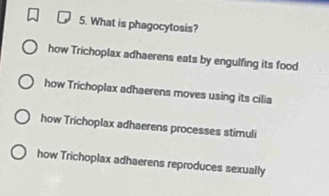 5. what is phagocytosis? ○ how trichoplax adhaerens eats by engulfing i…