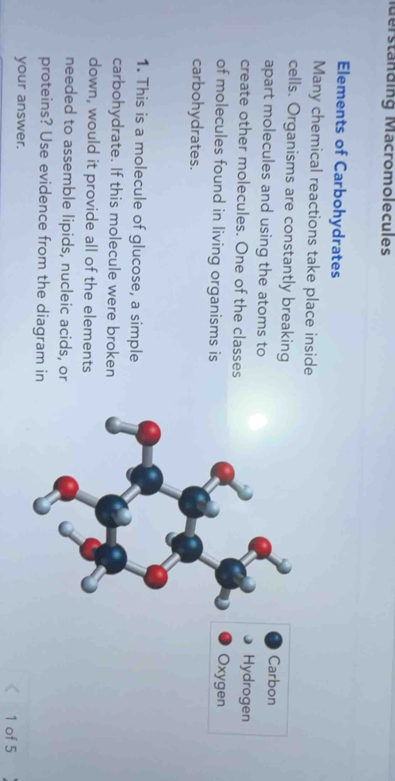 elements of carbohydrates many chemical reactions take place inside cel…