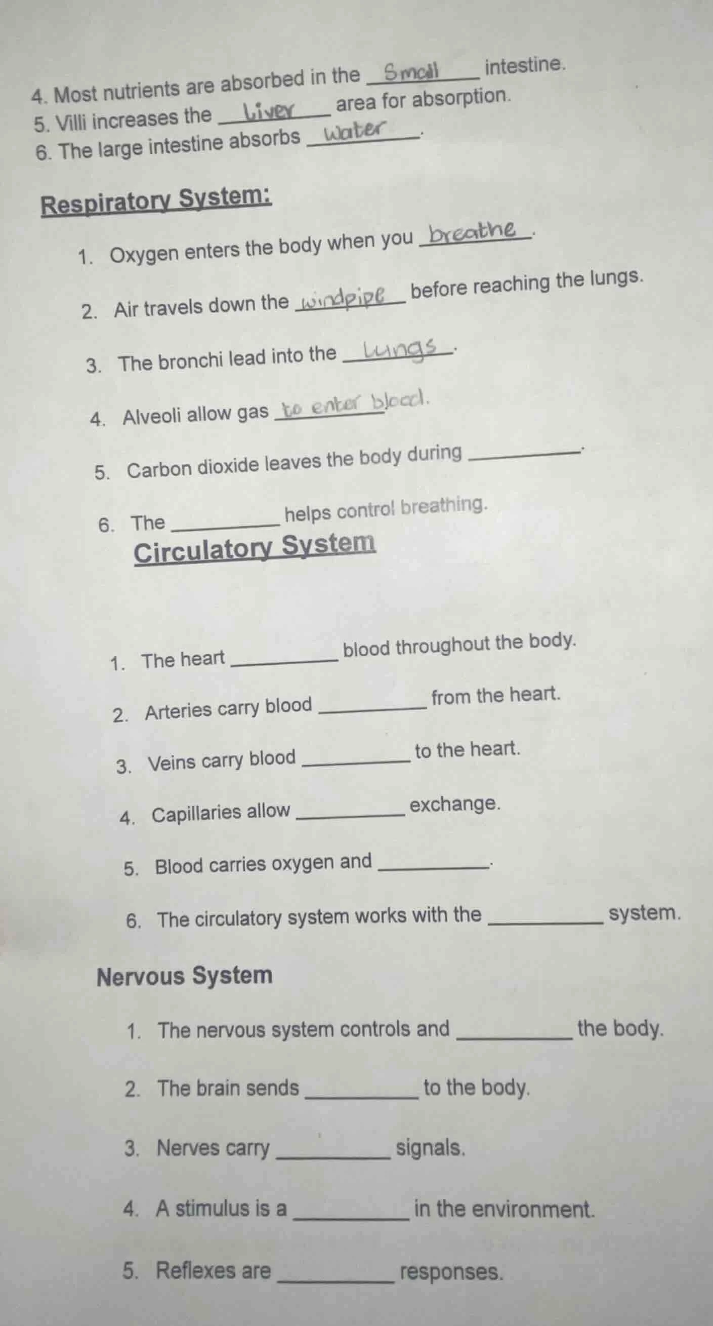 4. most nutrients are absorbed in the ______ intestine. 5. villi increa…