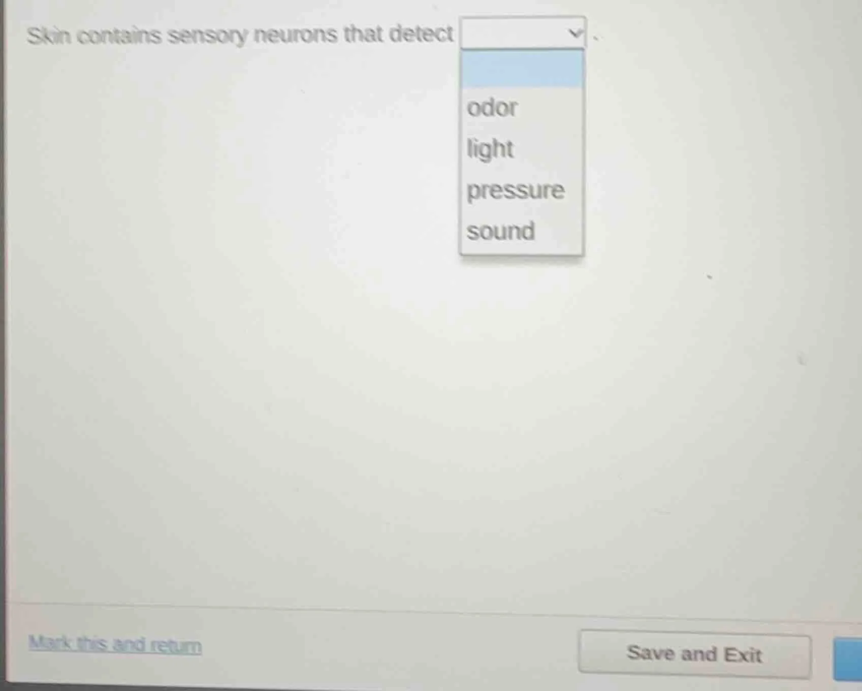 skin contains sensory neurons that detect odor light pressure sound mar…