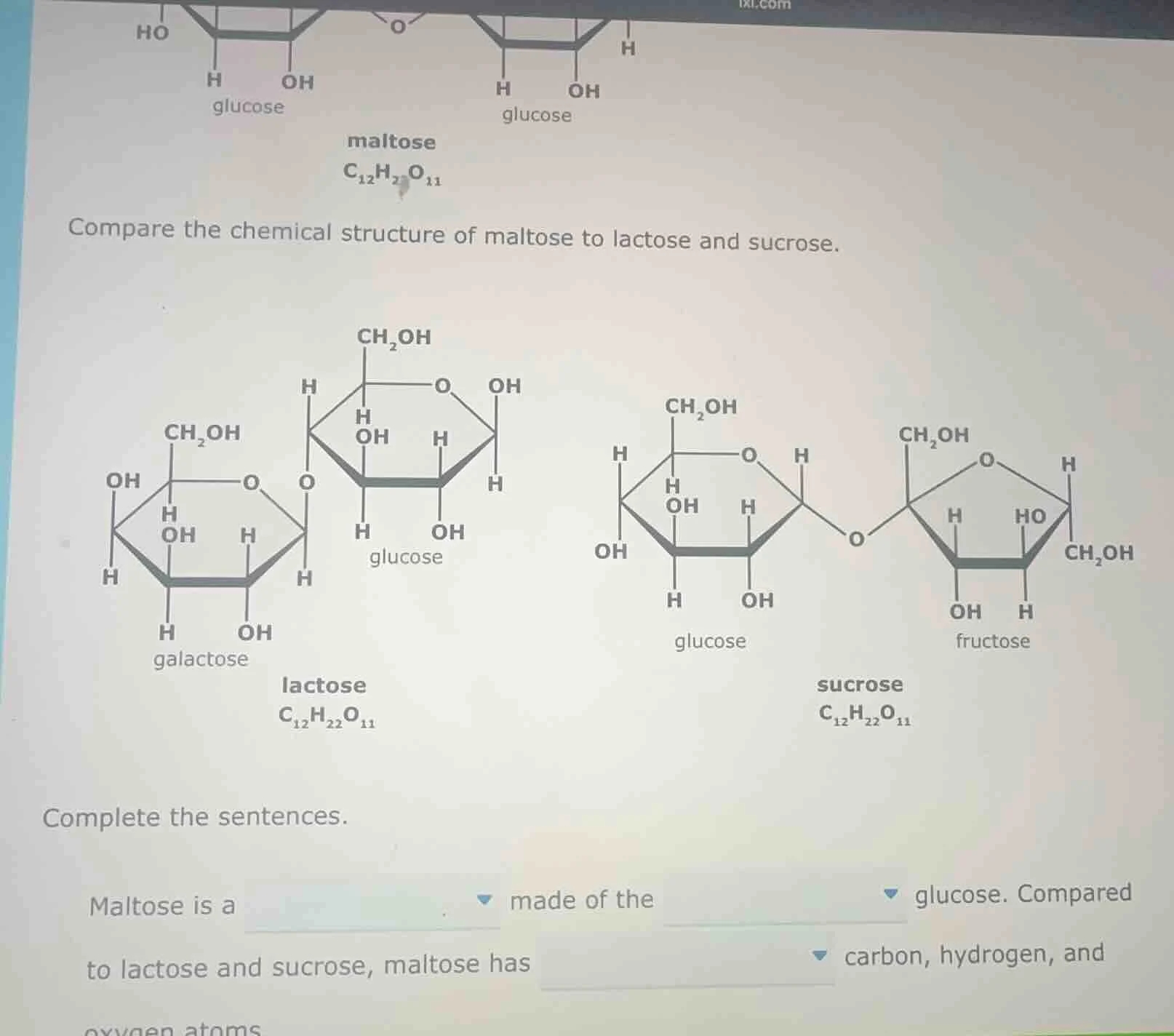 compare the chemical structure of maltose to lactose and sucrose. compl…