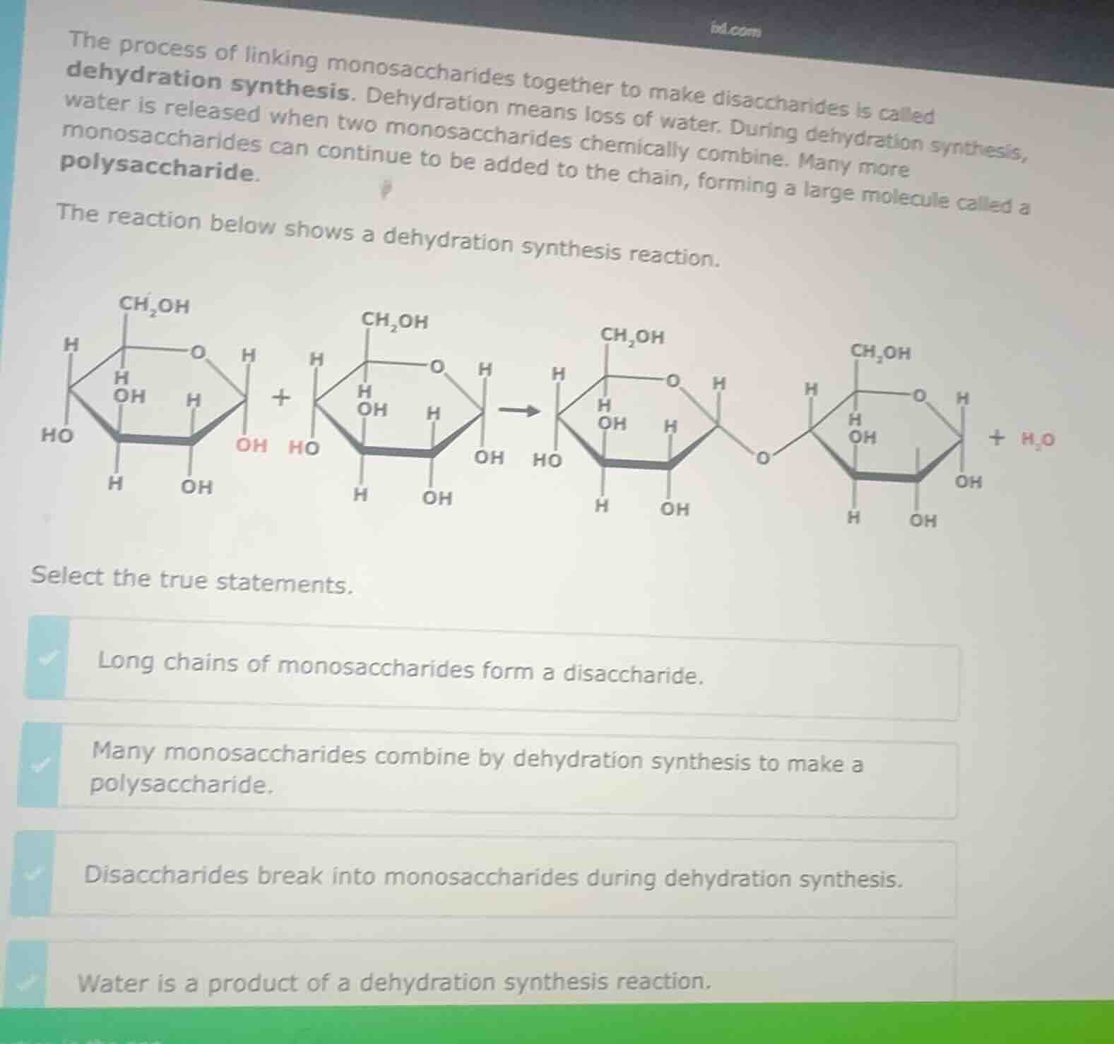 the process of linking monosaccharides together to make disaccharides i…