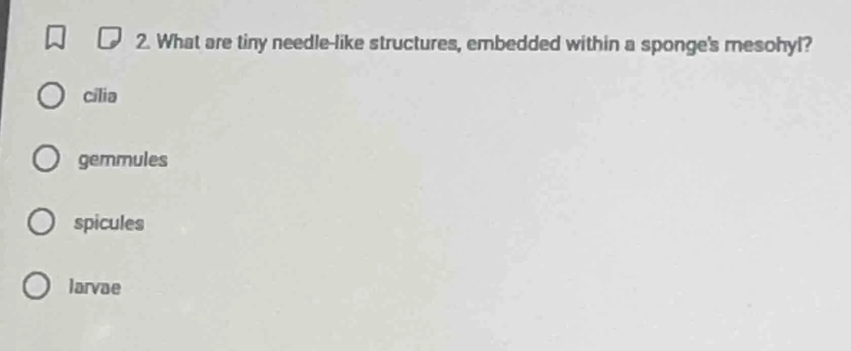 2. what are tiny needle - like structures, embedded within a sponges me…