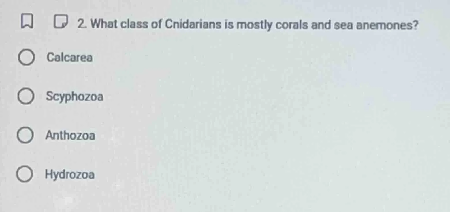 2. what class of cnidarians is mostly corals and sea anemones? ○ calcar…