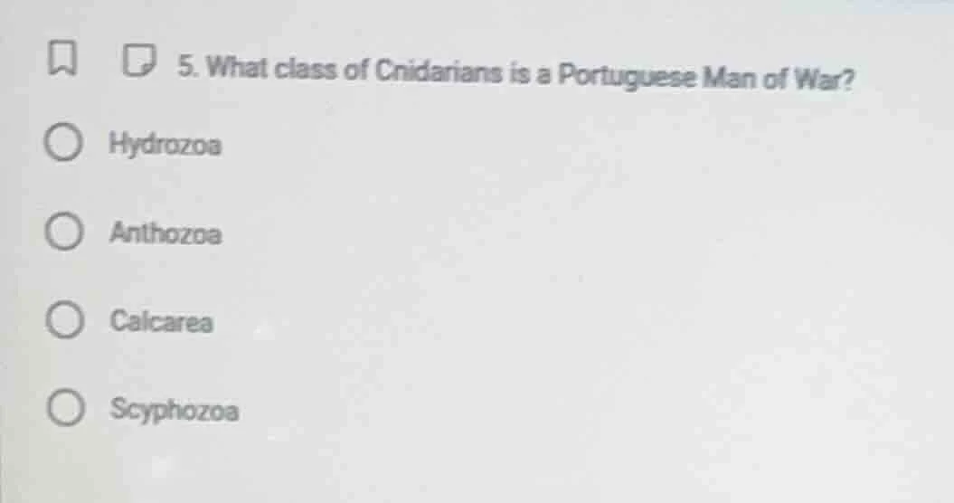 5. what class of cnidarians is a portuguese man of war? hydrozoa anthoz…