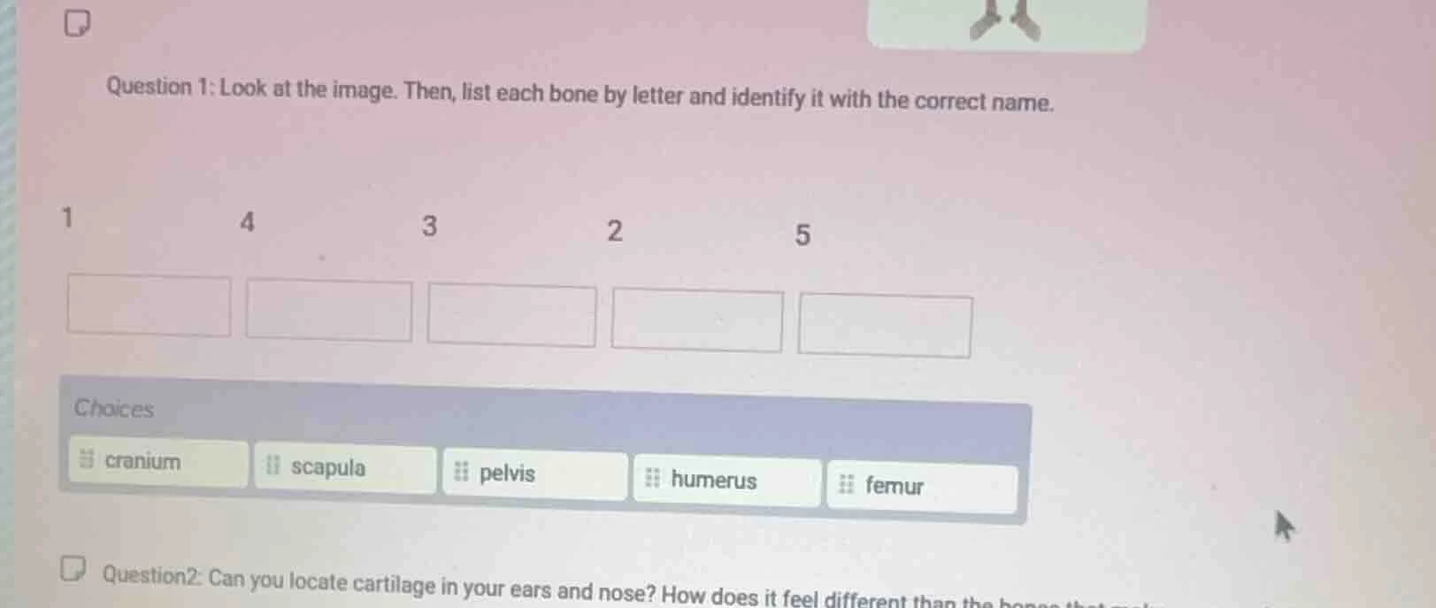 question 1: look at the image. then, list each bone by letter and ident…