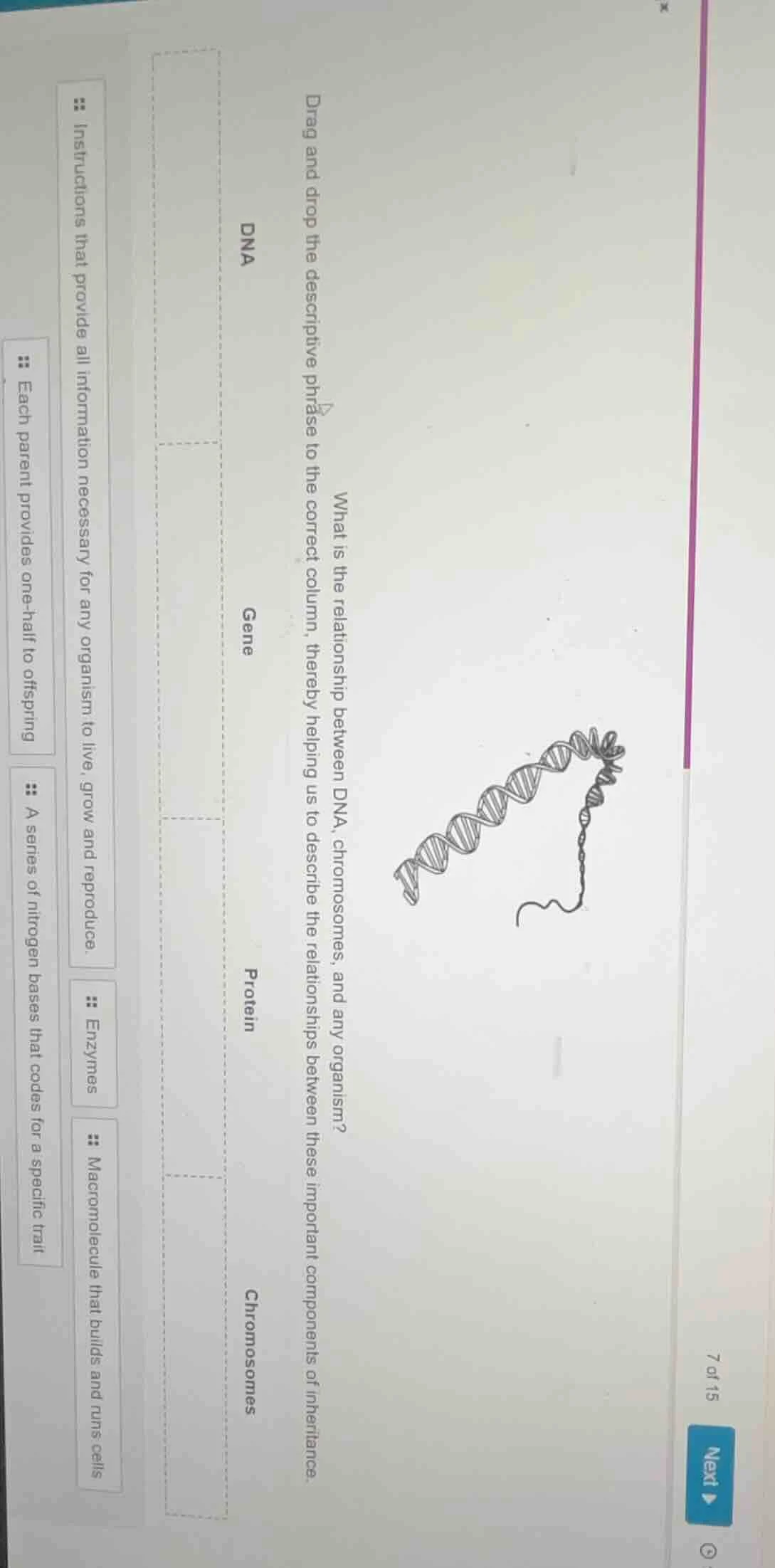 what is the relationship between dna, chromosomes, and any organism? dr…