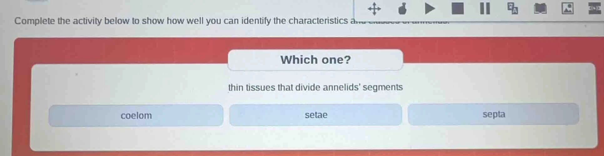 complete the activity below to show how well you can identify the chara…