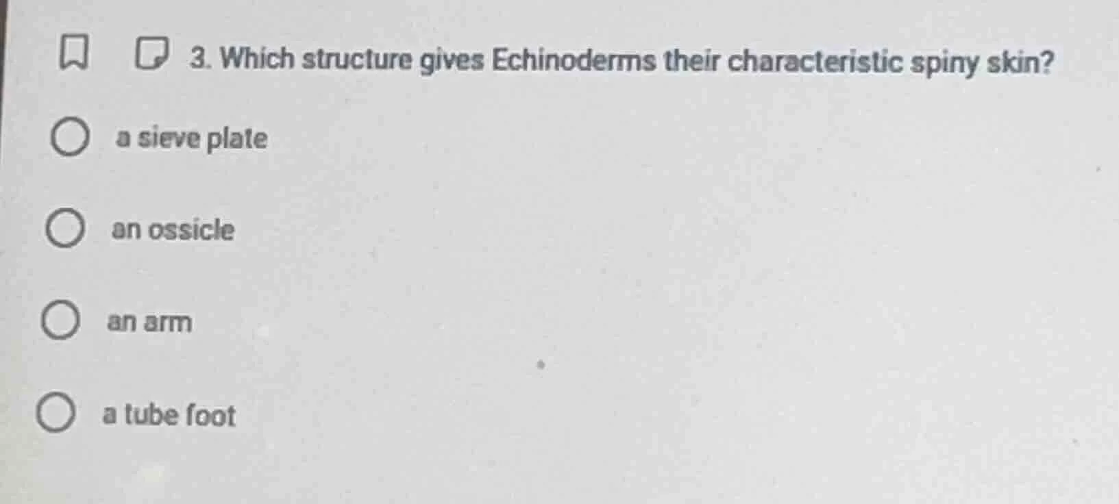3. which structure gives echinoderms their characteristic spiny skin? ○…