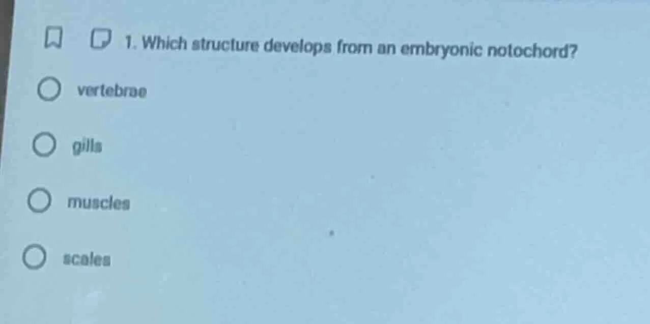 1. which structure develops from an embryonic notochord? ○ vertebrae ○ …