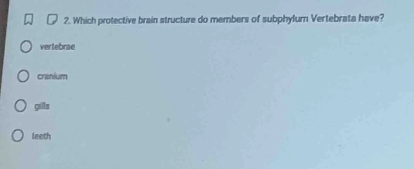 2. which protective brain structure do members of subphylum vertebrata …