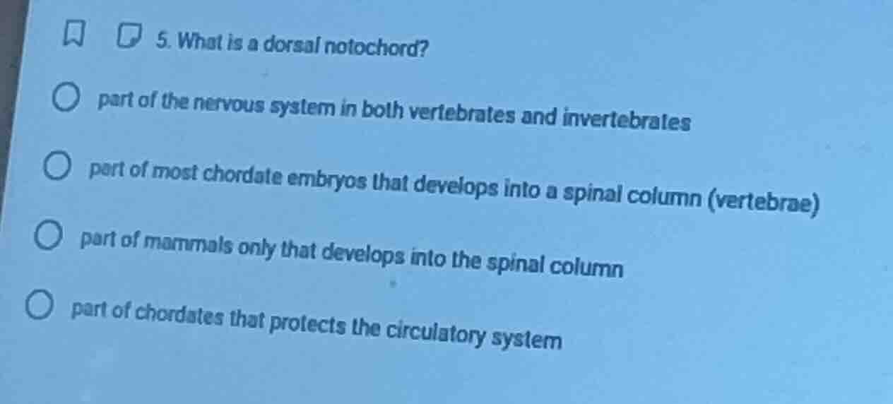 5. what is a dorsal notochord? part of the nervous system in both verte…