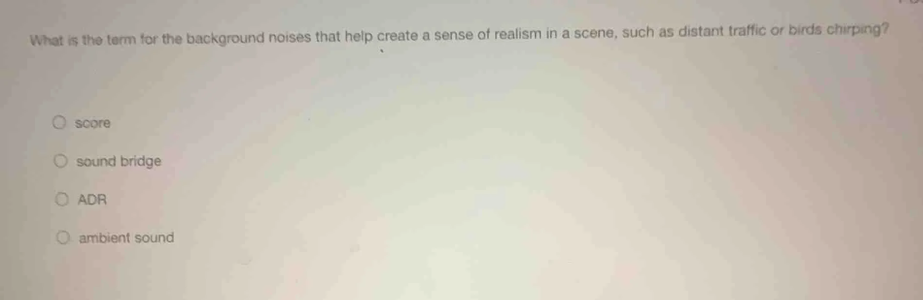 what is the term for the background noises that help create a sense of …