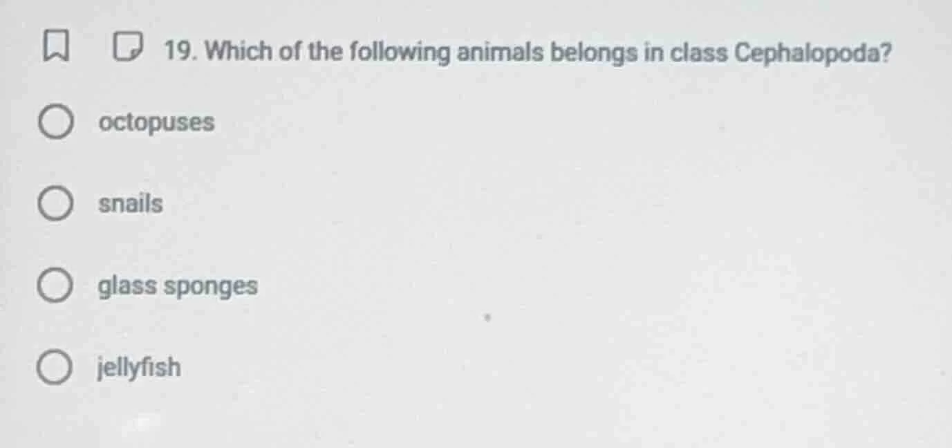 19. which of the following animals belongs in class cephalopoda? octopu…