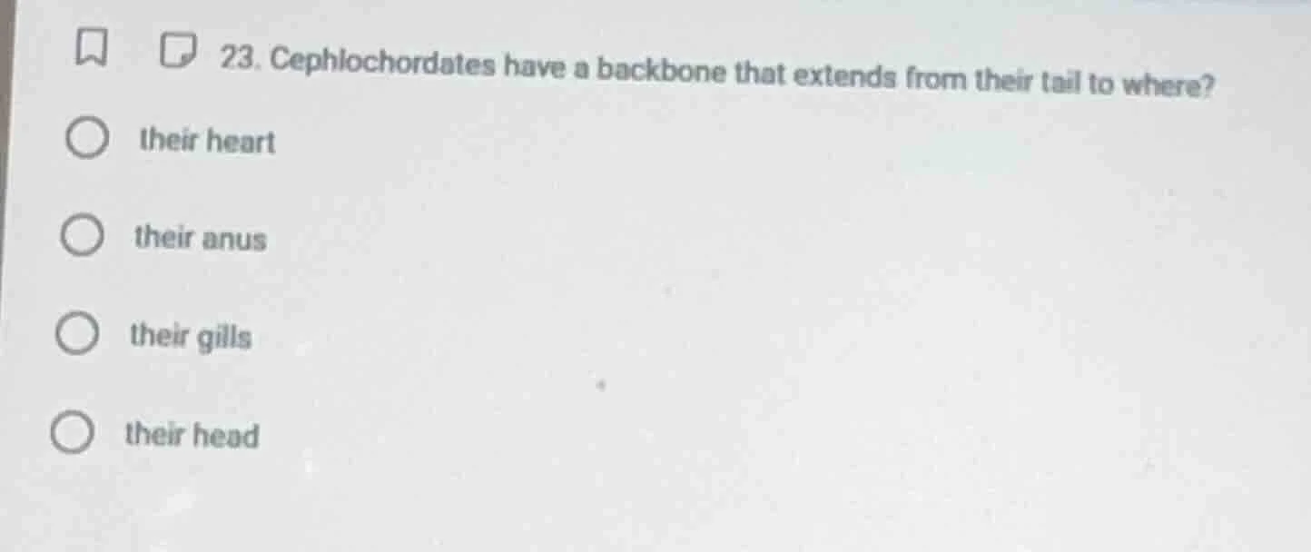 23. cephalochordates have a backbone that extends from their tail to wh…