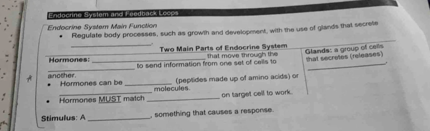 endocrine system and feedback loops endocrine system main function - re…