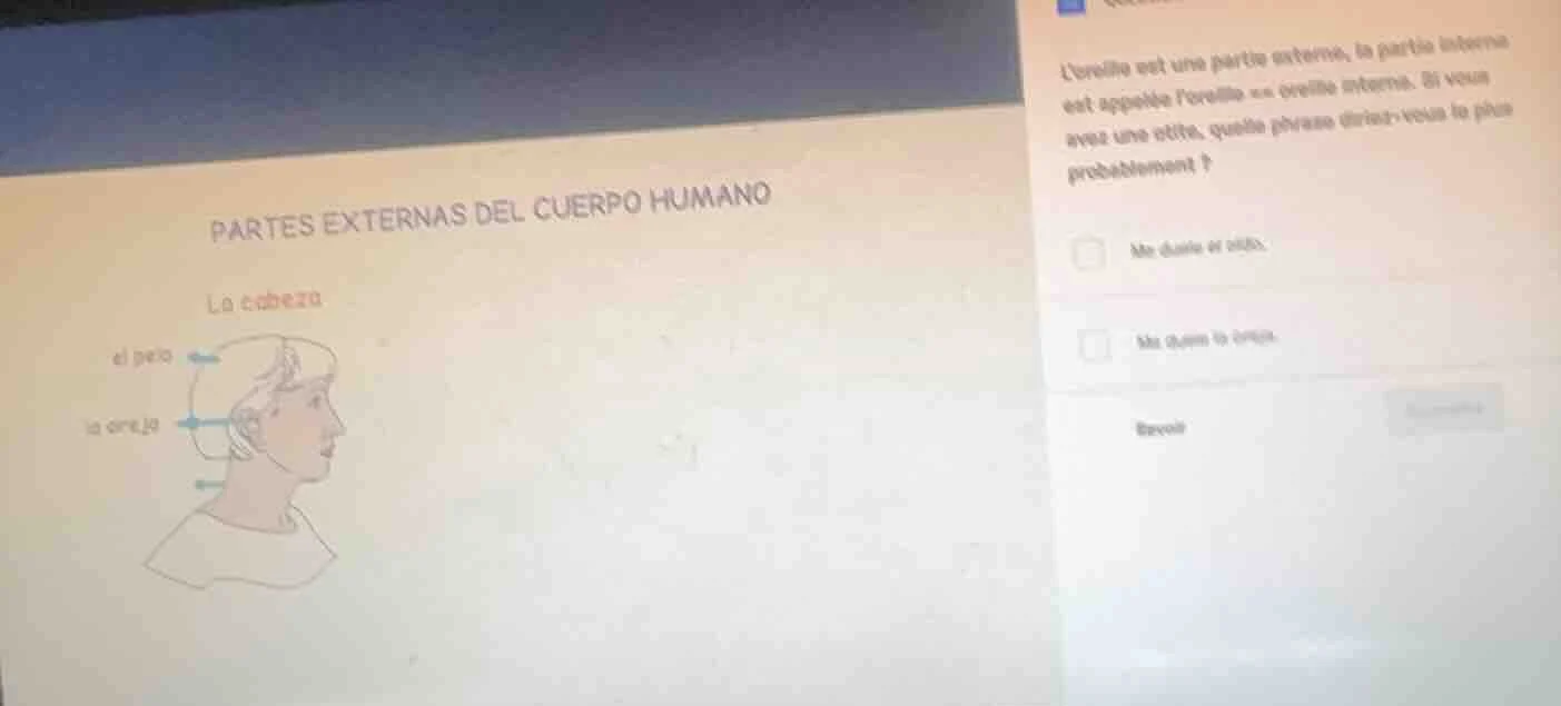 partes externas del cuerpo humano la cabeza ei pelo la oreja loreille e…