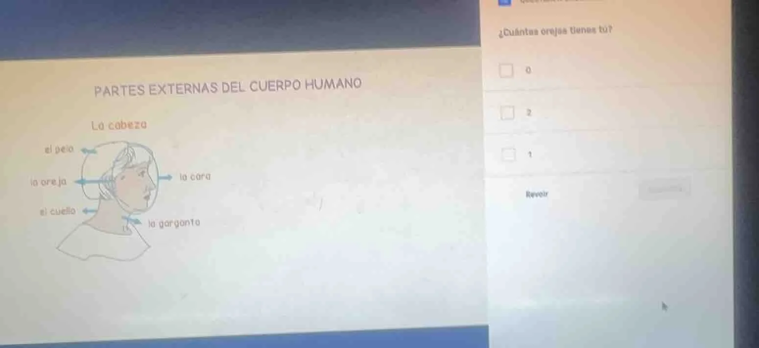 partes externas del cuerpo humano la cabeza al pelo la oreja la cara el…