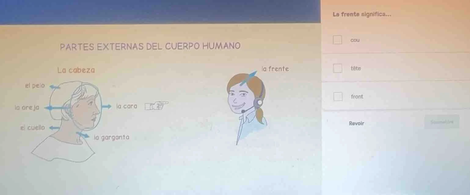 partes externas del cuerpo humano la cabeza el pelo la oreja el cuello …