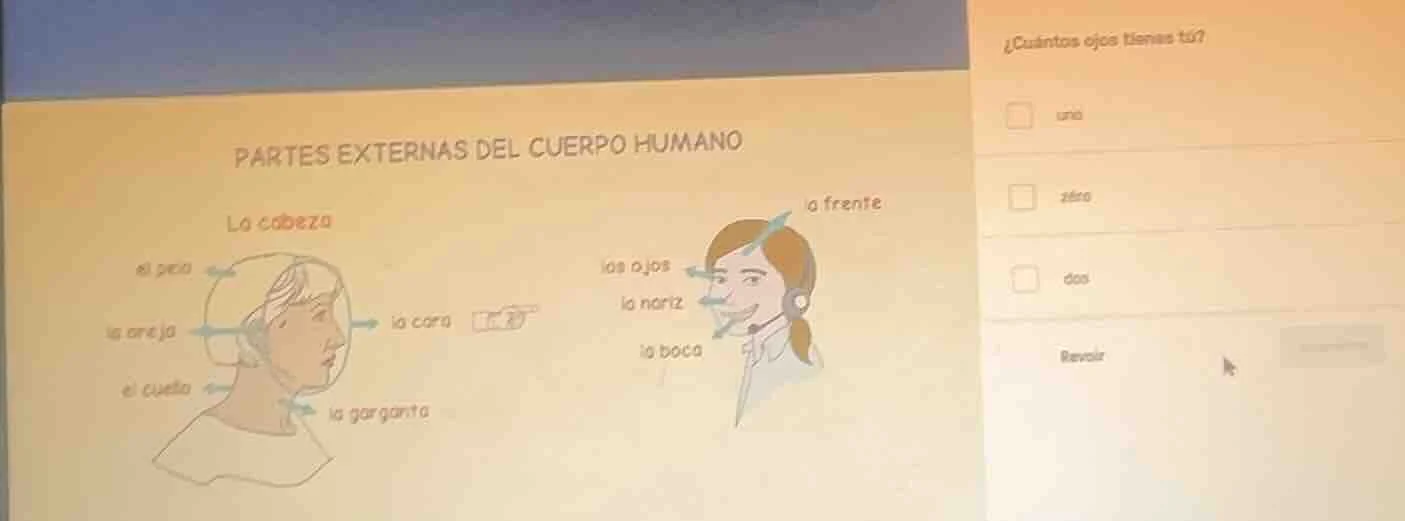 partes externas del cuerpo humano la cabeza el pelo la oreja la cara e!…