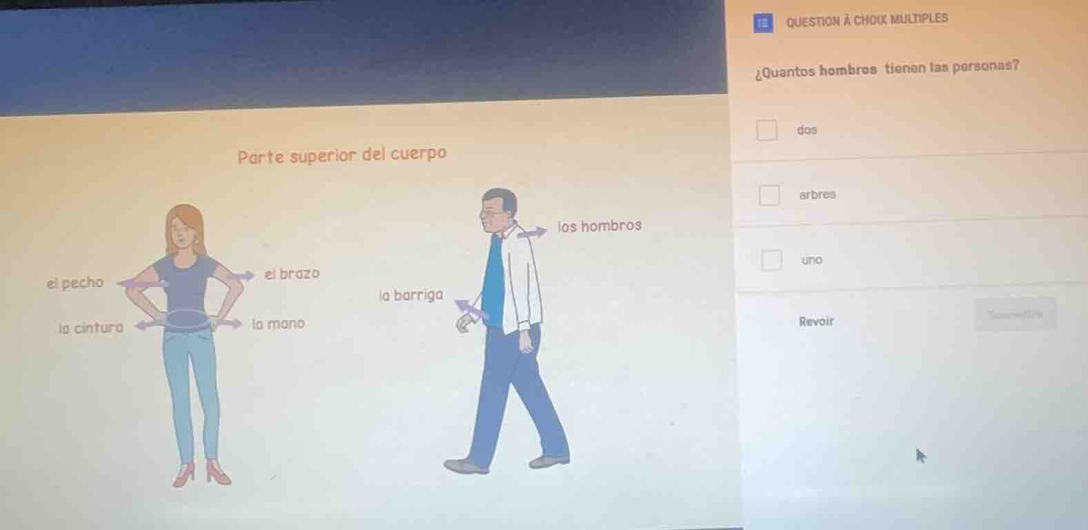 parte superior del cuerpo el pecho el brazo la cintura la mano la barri…