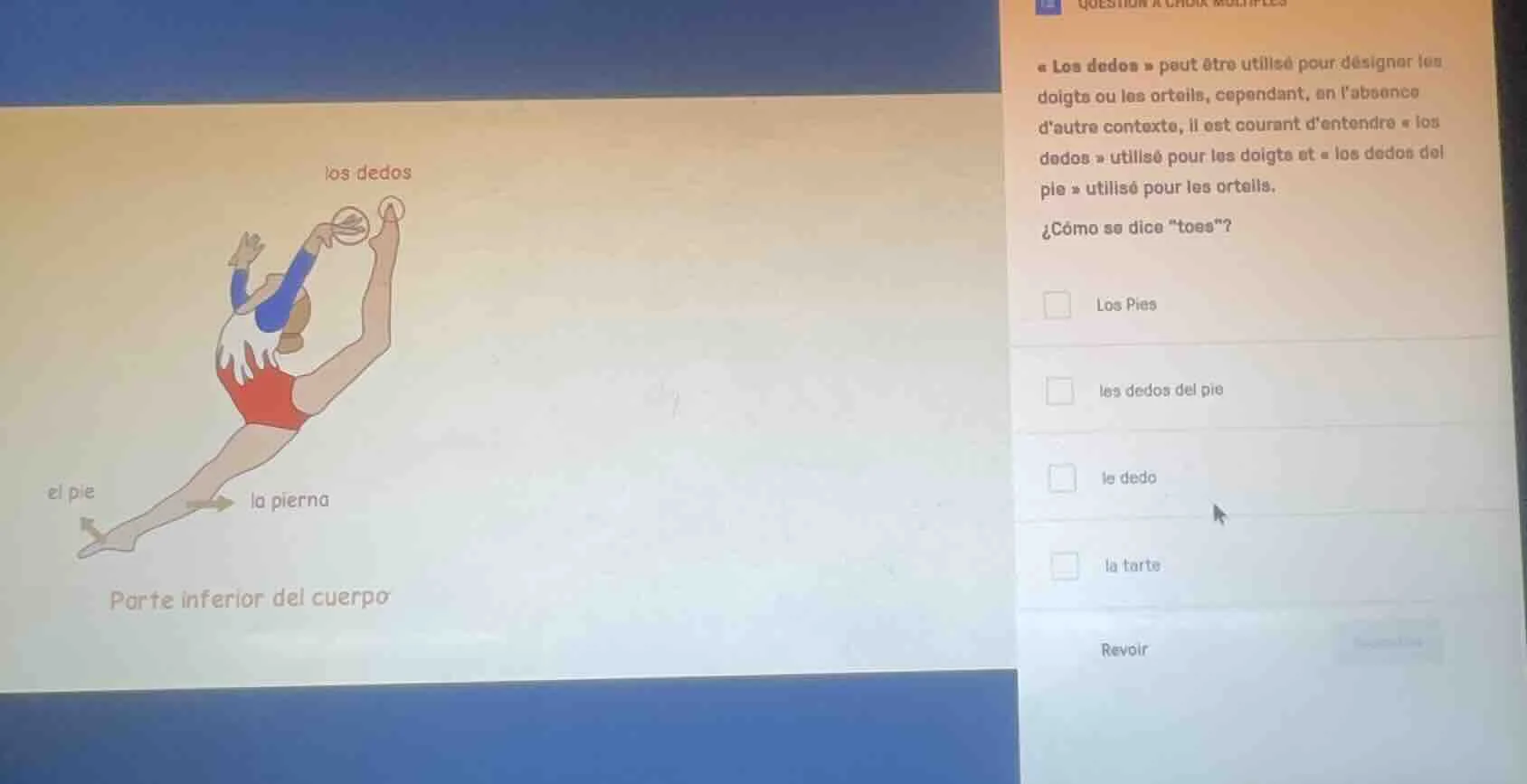 los dedos el pie la pierna parte inferior del cuerpo los dedos » peut ê…