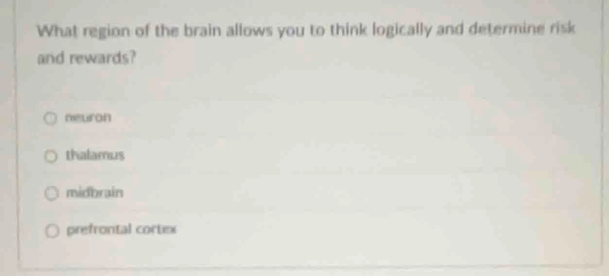 what region of the brain allows you to think logically and determine ri…