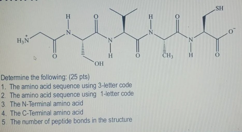 determine the following: (25 pts) 1. the amino acid sequence using 3-le…