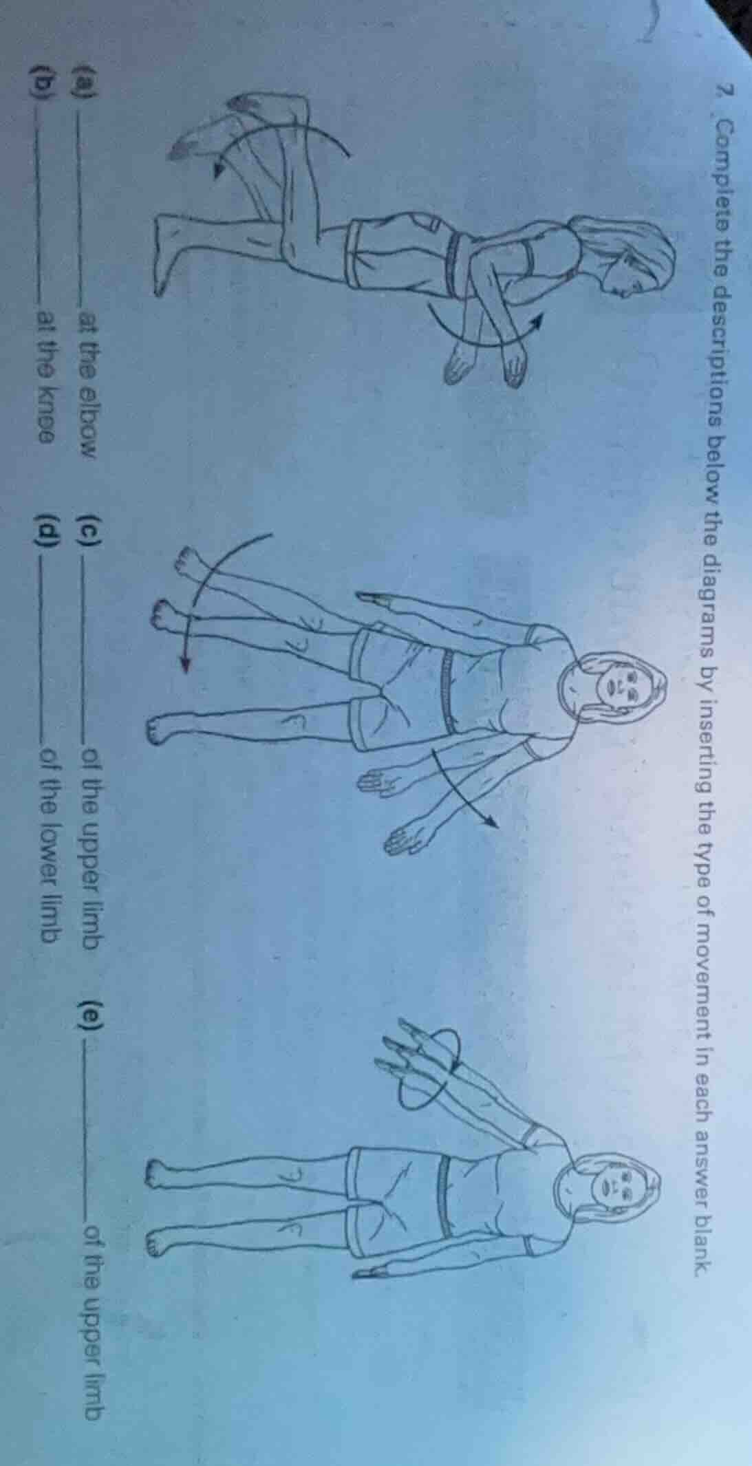 7. complete the descriptions below the diagrams by inserting the type o…