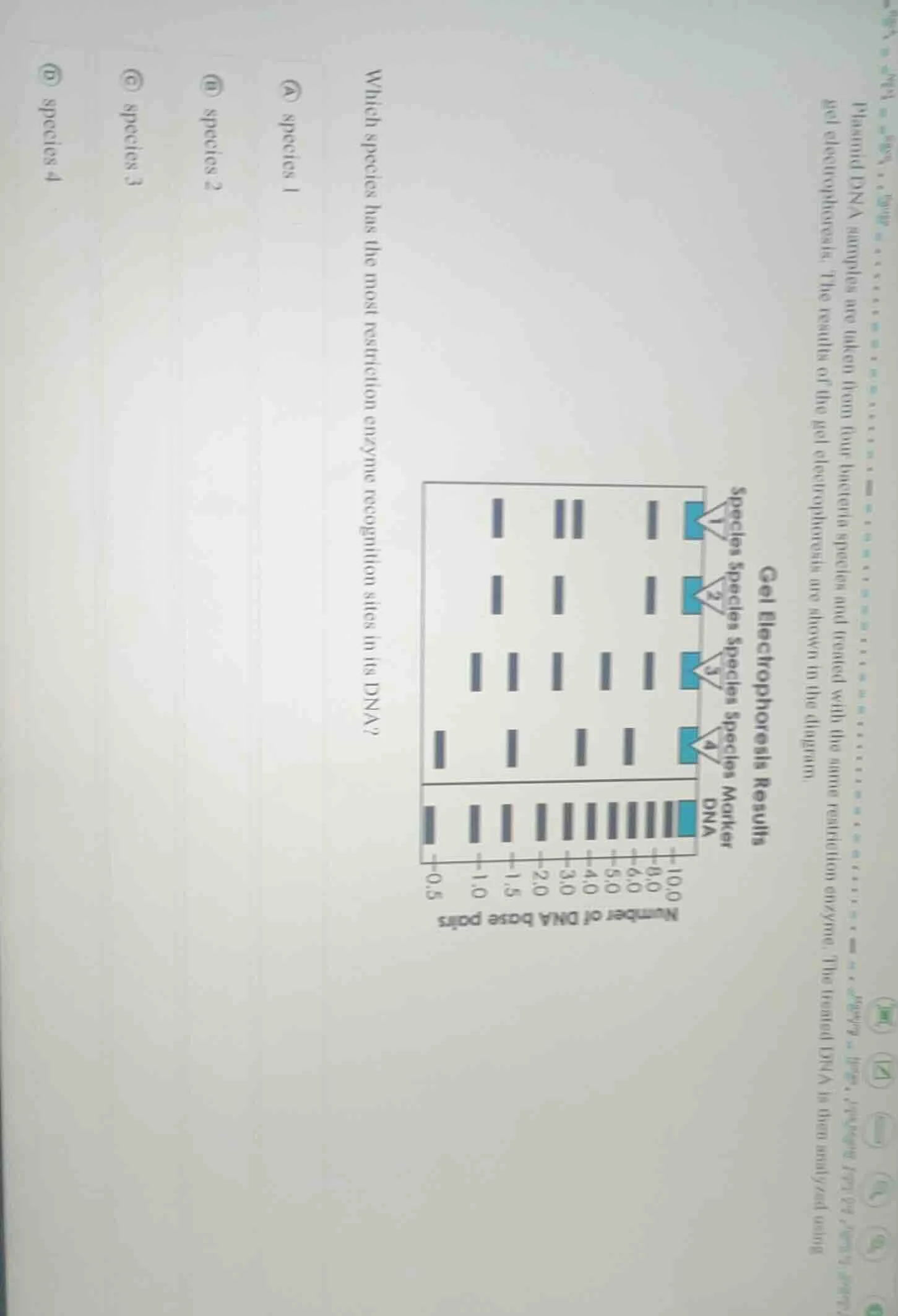 plasmid dna samples are taken from four bacteria species and treated wi…