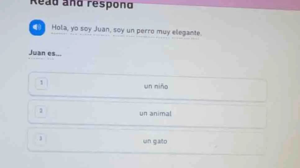 read and respond hola, yo soy juan, soy un perro muy elegante. juan es.…
