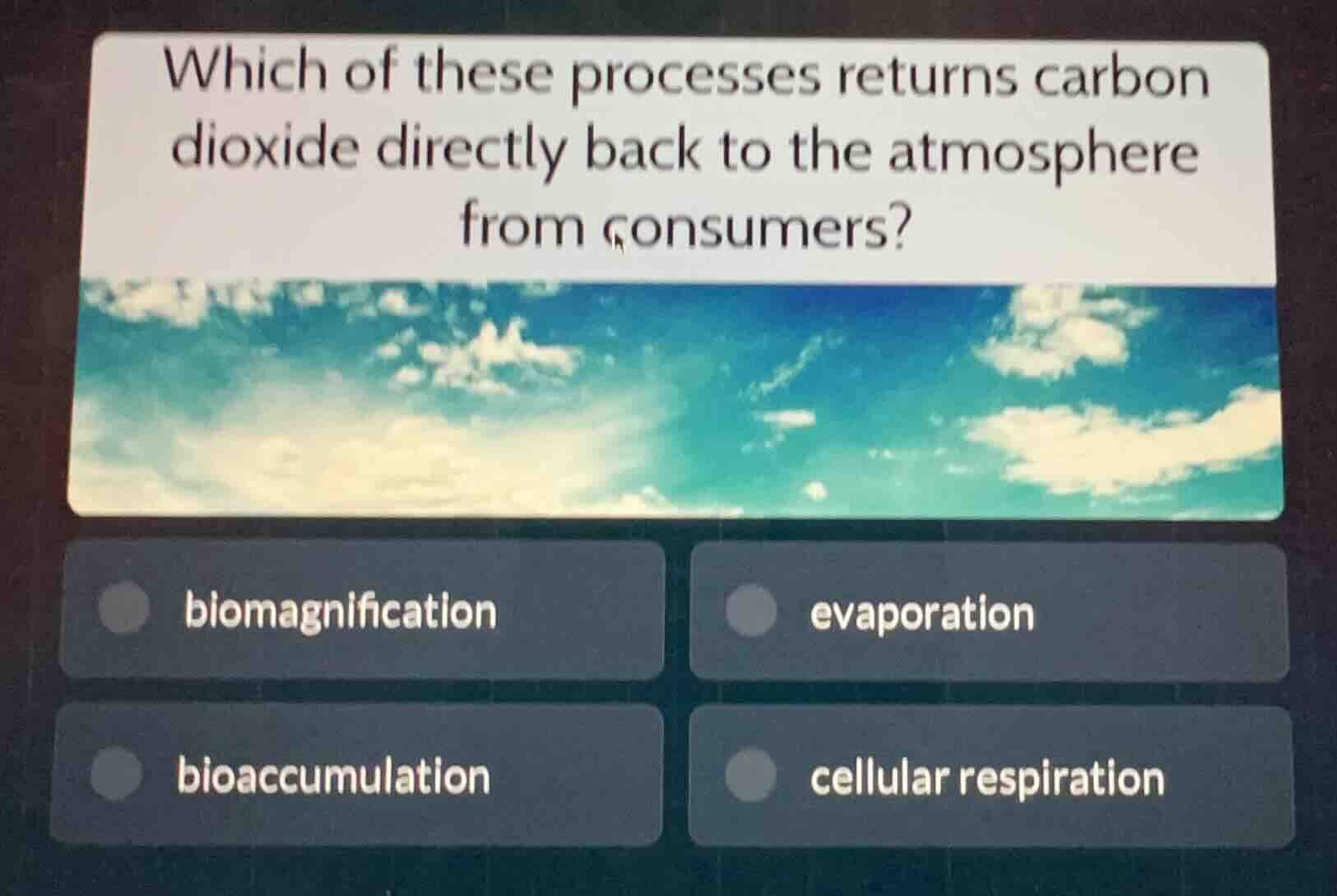 which of these processes returns carbon dioxide directly back to the at…