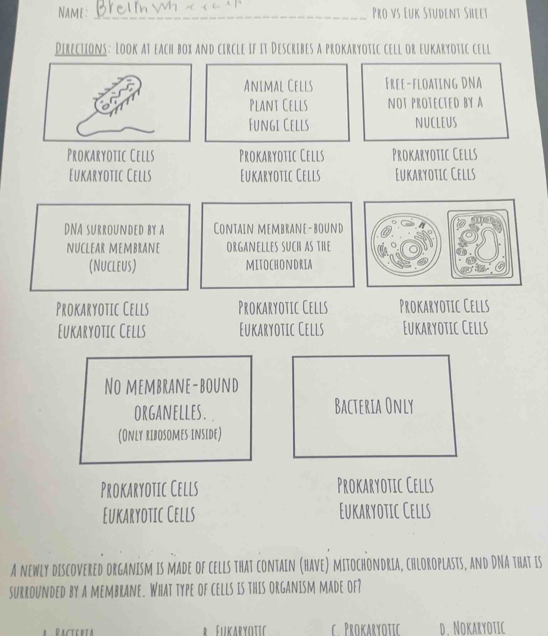 name: bre... pro vs euk student sheet directions: look at each box and …