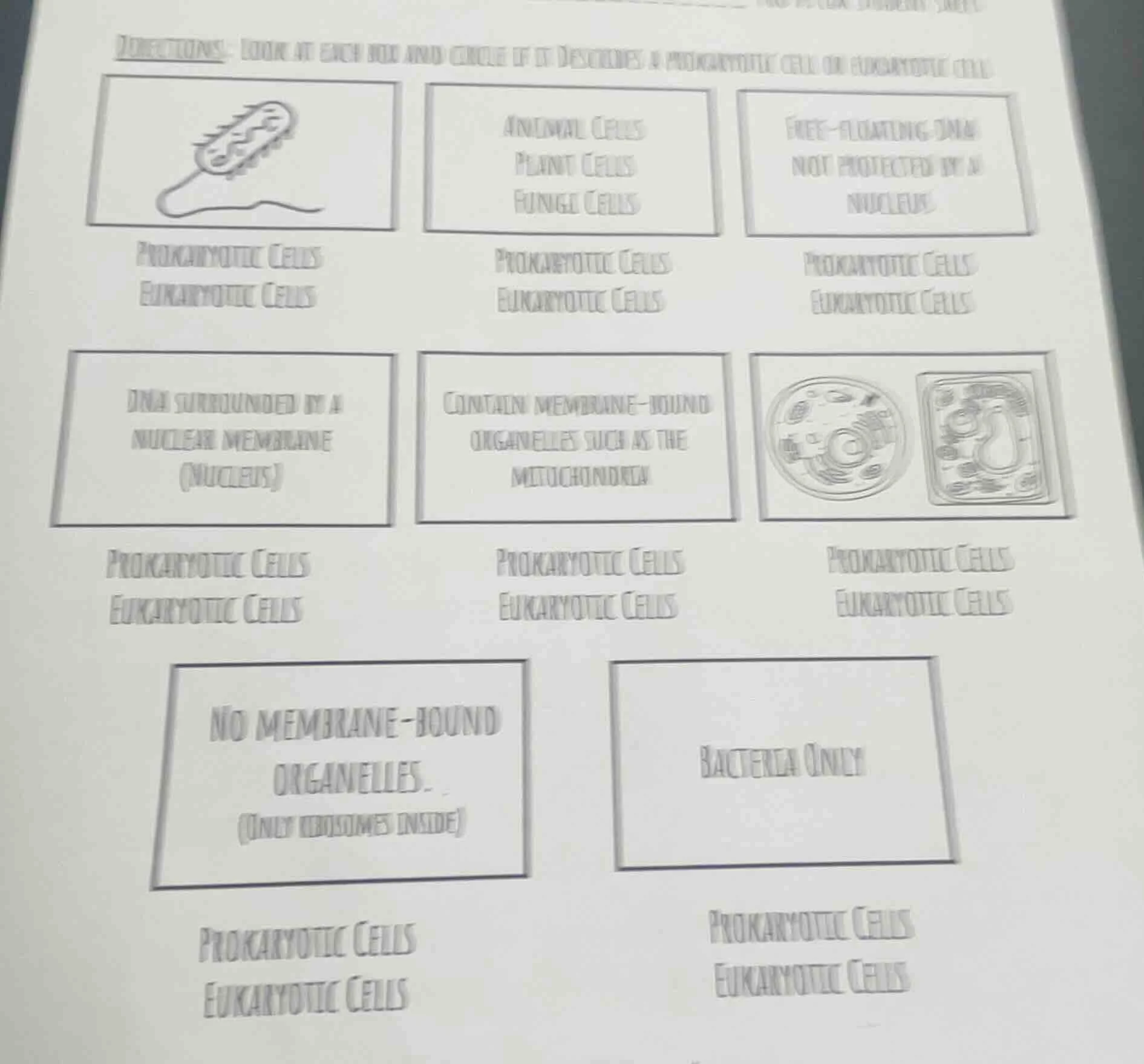 directions: look at each box and circle if it describes a prokaryotic c…
