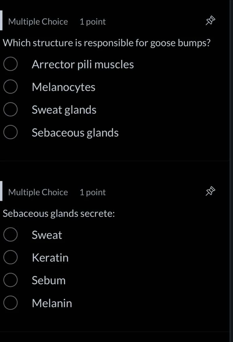 multiple choice 1 point which structure is responsible for goose bumps?…