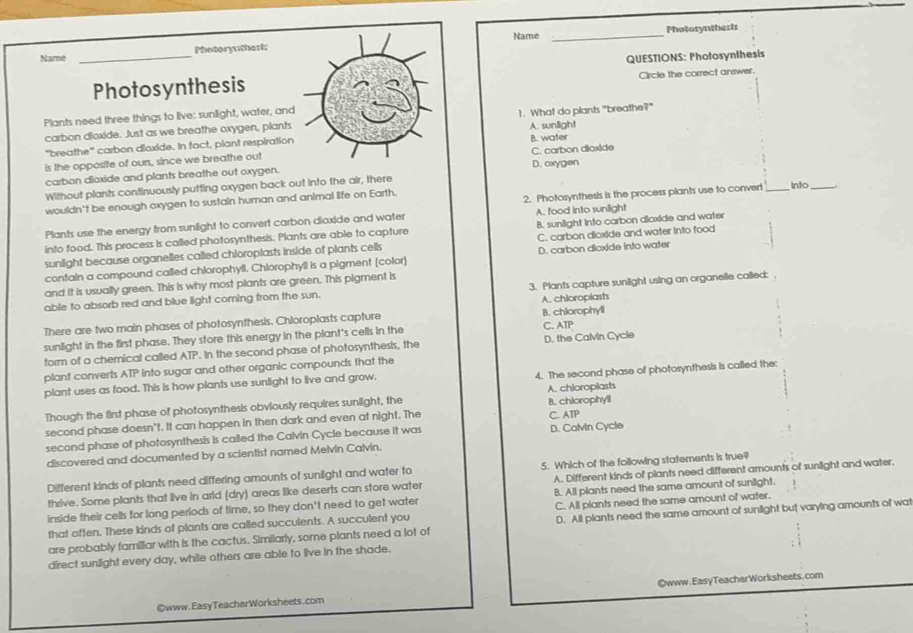 name ______ photosynthesis photosynthesis plants need three things to l…