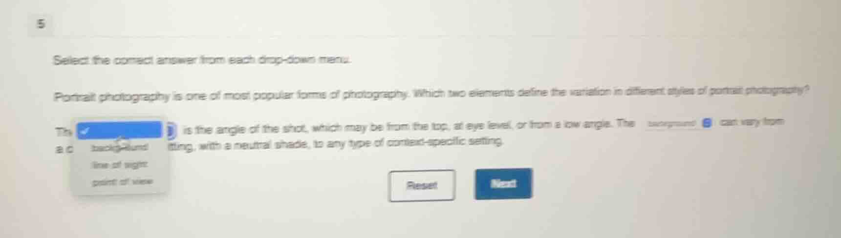 5 select the correct answer from each drop - down menu. portrait photog…