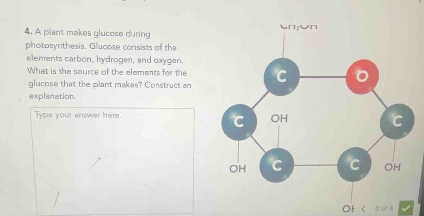 4. a plant makes glucose during photosynthesis. glucose consists of the…