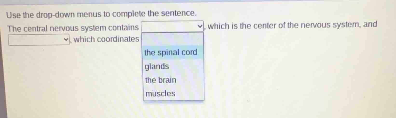 use the drop-down menus to complete the sentence. the central nervous s…