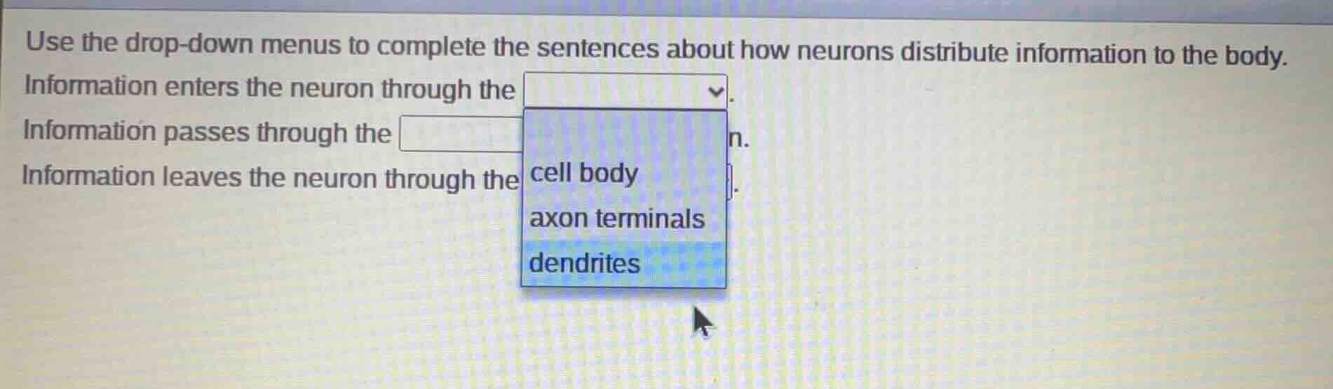 use the drop-down menus to complete the sentences about how neurons dis…