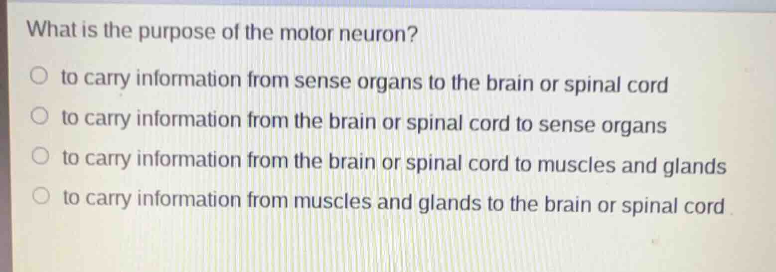 what is the purpose of the motor neuron? to carry information from sens…